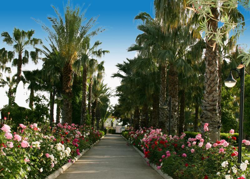 Adora Hotel & Resort Hotel
