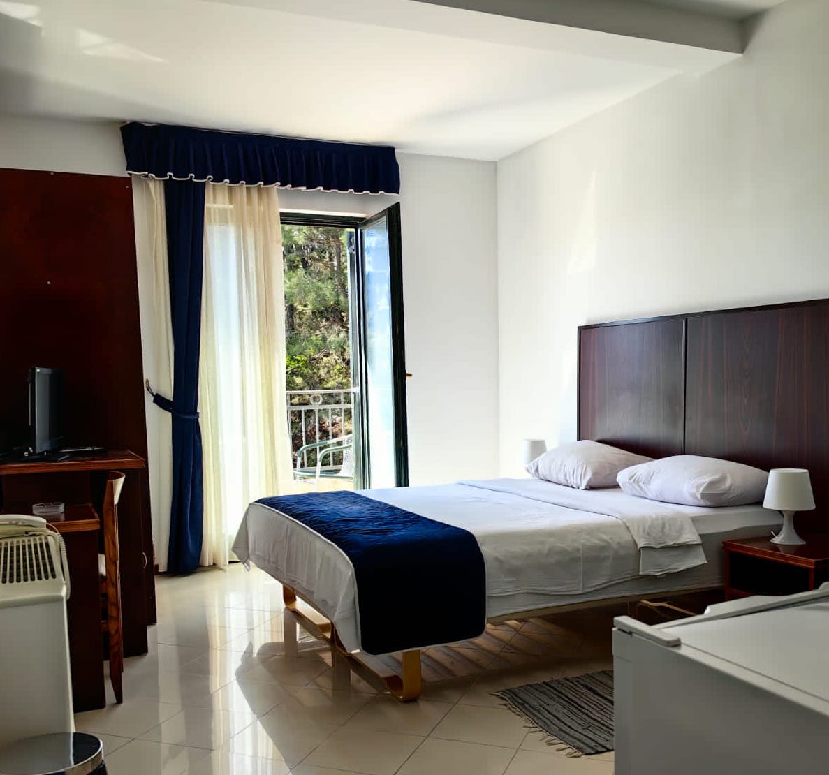 Hotel Danica