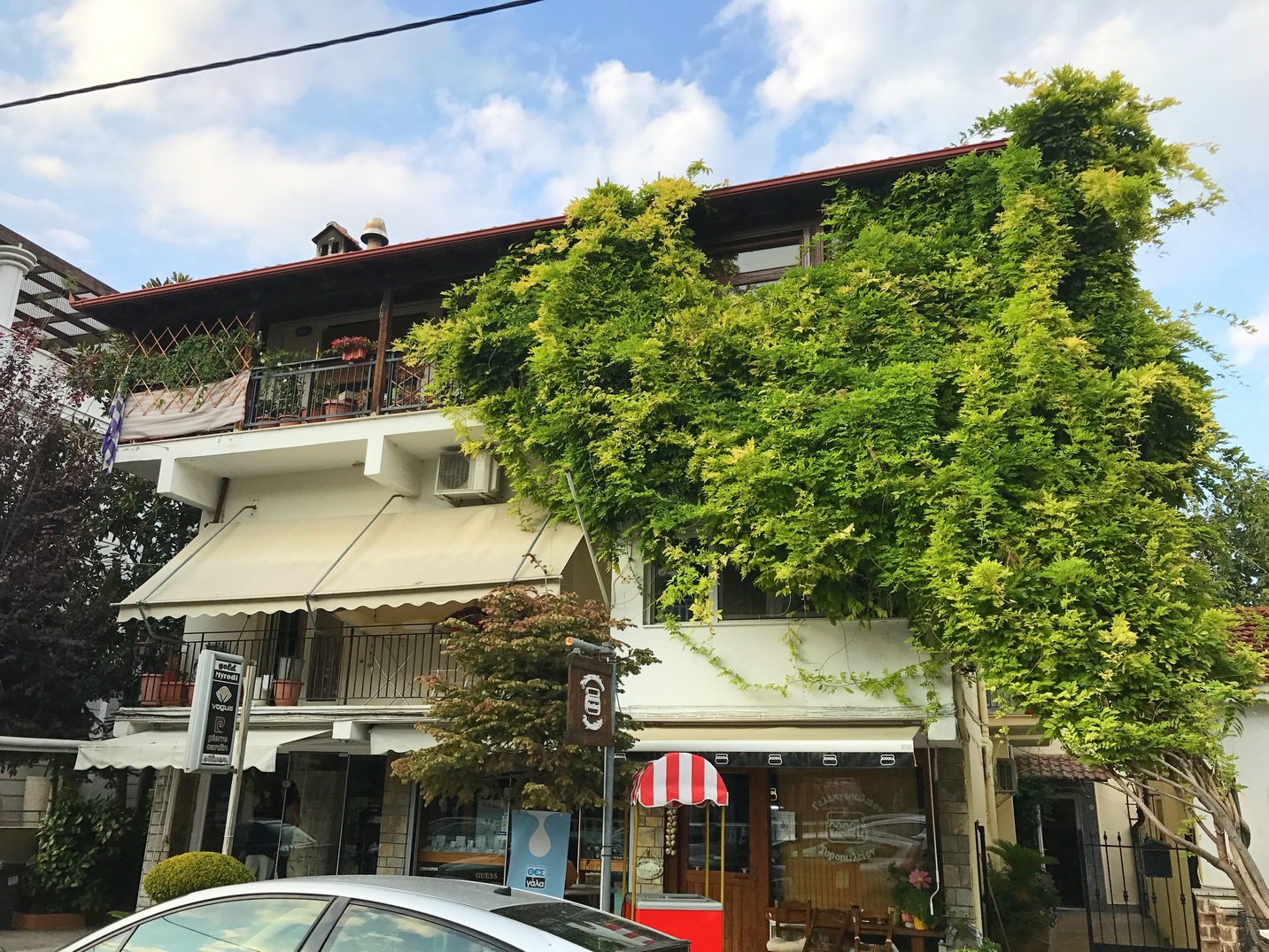 Vila Polina