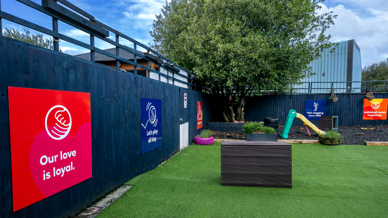 A fenced yard with colorful signs, artificial grass, a tree, playground slide, and outdoor seating perfect for dog boarding or visits with your trusted dog trainer. One sign reads, "Our love is loyal." Sky is partly cloudy.