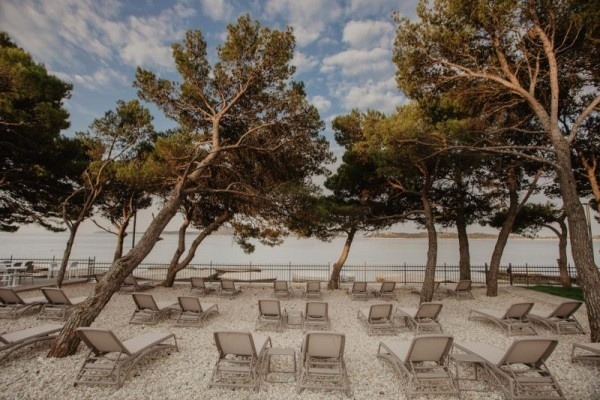 Hotel Punta