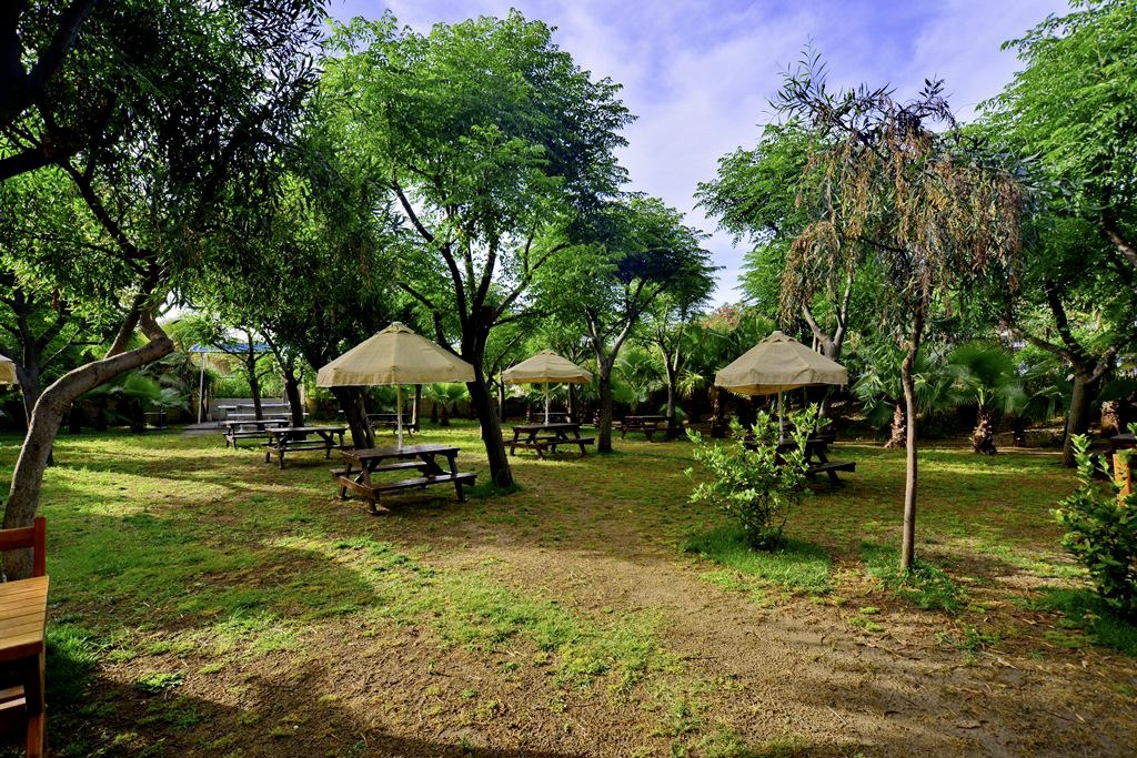 Seaden Sea World Resort & Spa