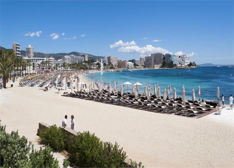 Melia Calvia Beach Hotel