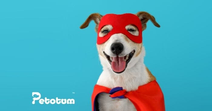 How to Attract Loyal Customers for Pet Business
