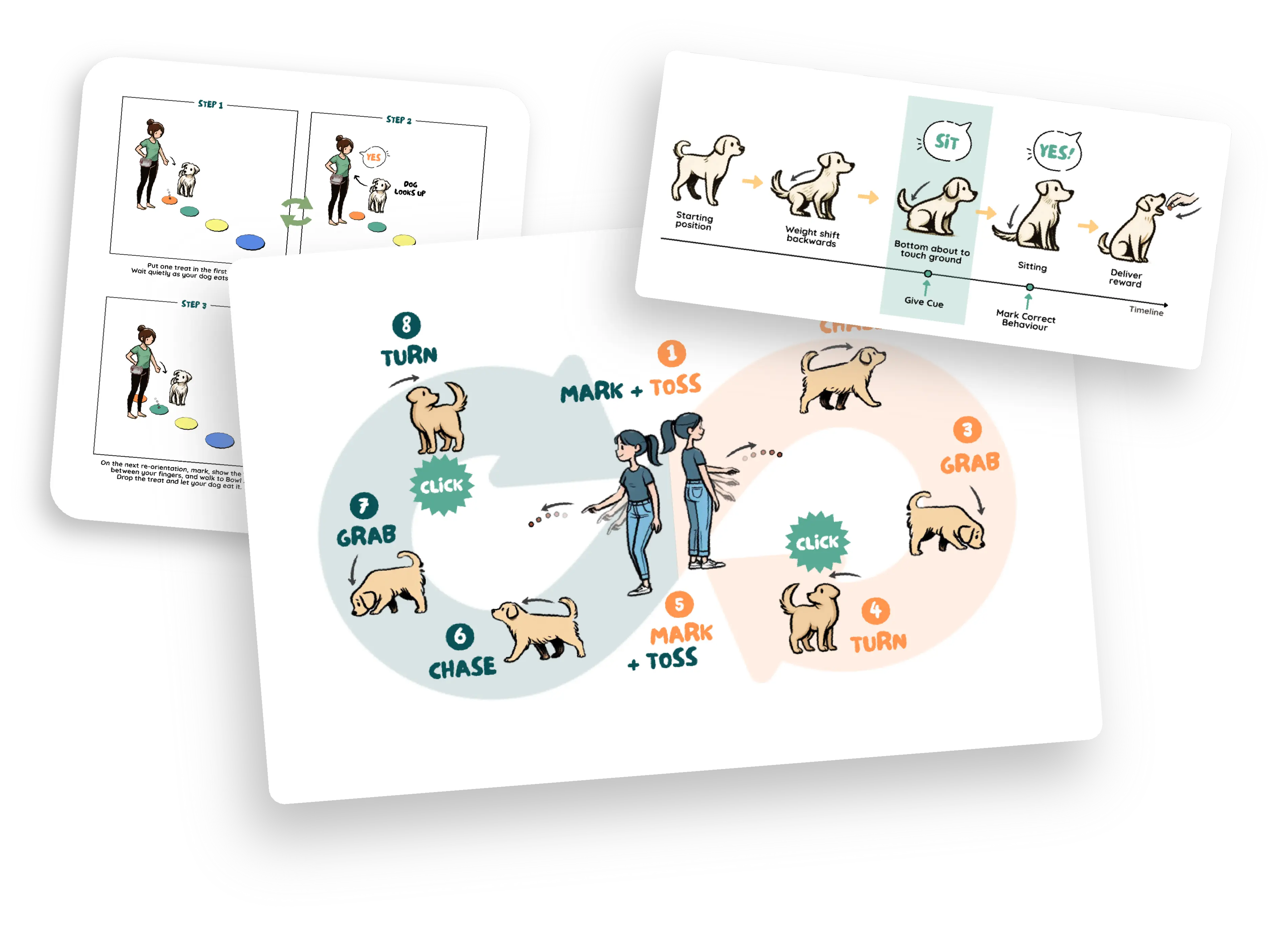 Visual graphics of multiple training exercises.