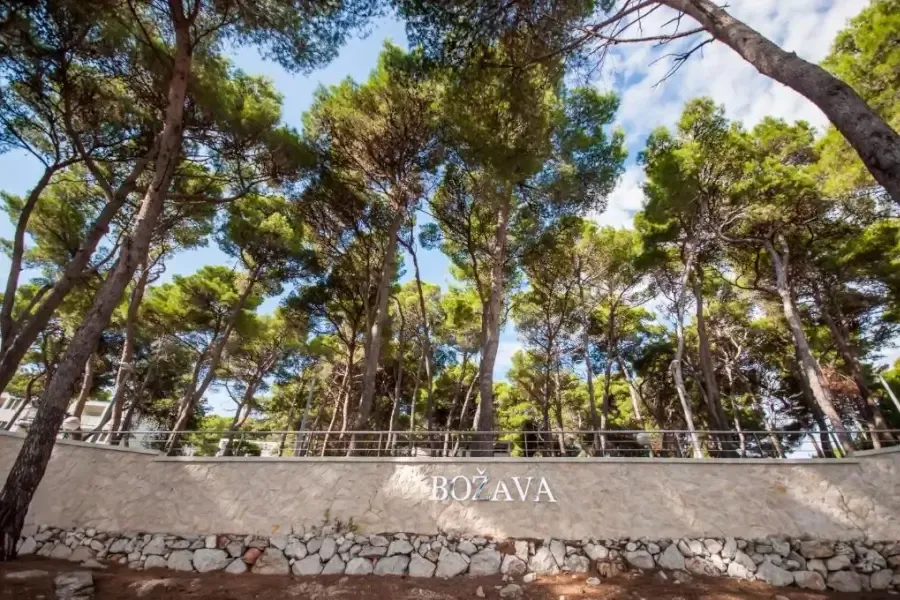 Depandansa Agava/Mirta