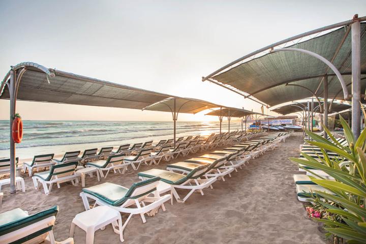 Trendy Palm Beach Adults Only +16