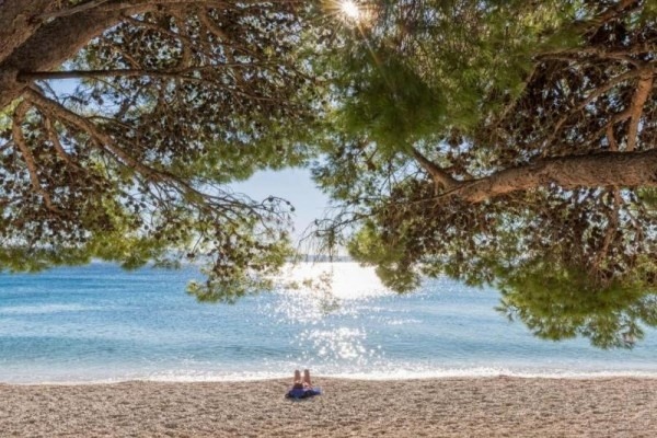 Hotel Bluesun Alga
