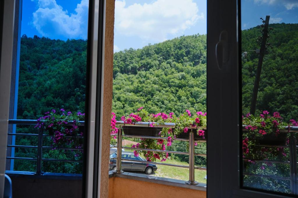 Garetov Konak Wellnes & Spa Vila