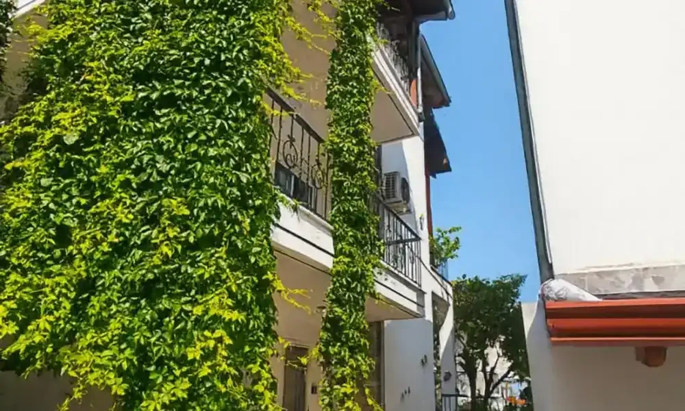 Vila Spiros 3