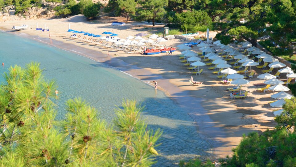Royal Paradise Beach Resort & Spa