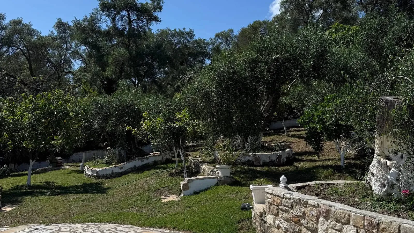 Apartmani Silvia