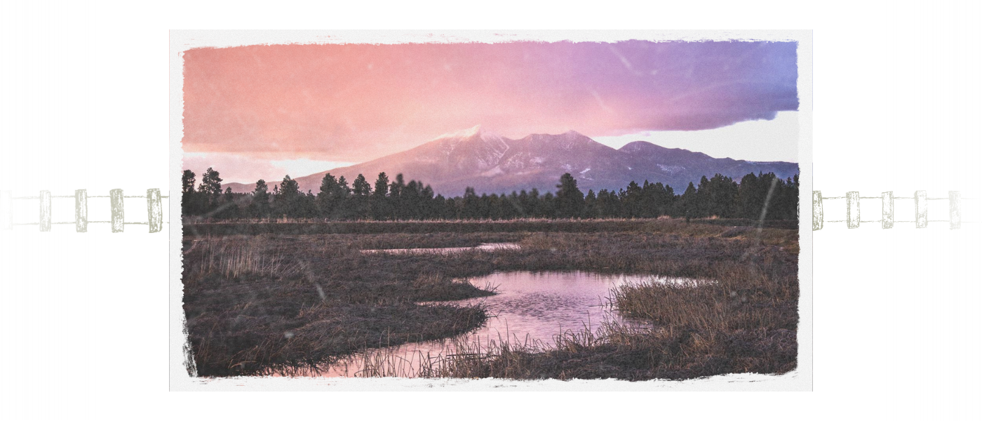 Museum of Northern Arizona