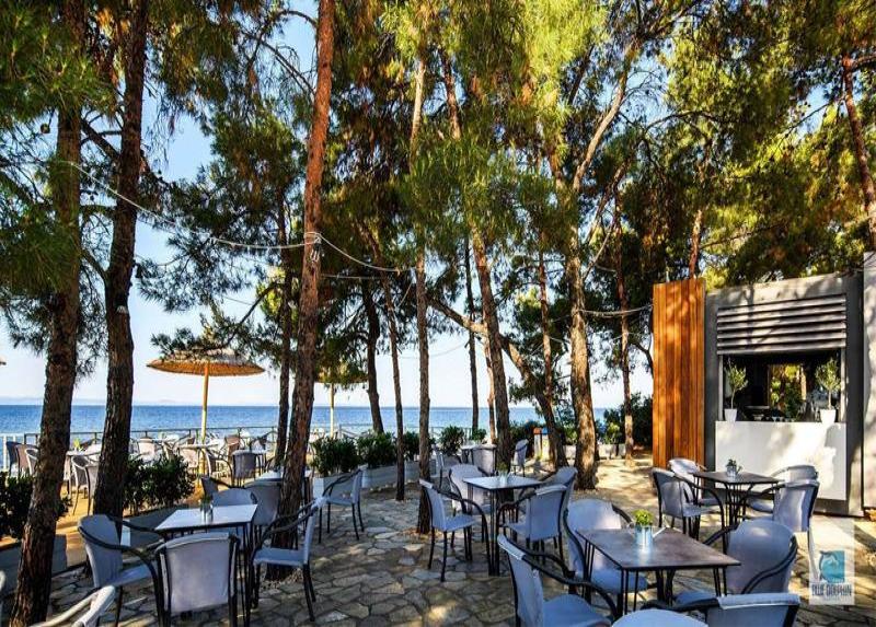 Blue Dolphin Hotel