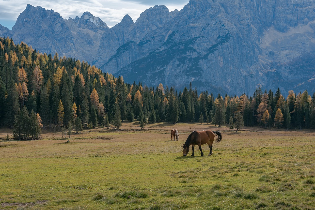 Putovanje kroz Lombardiju, Alpe & Dolomite