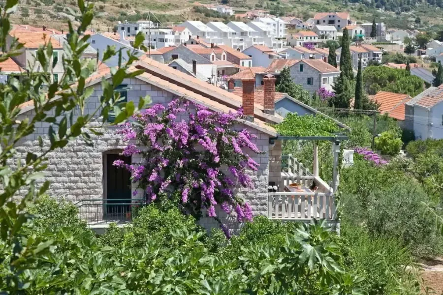 Apartman Dina