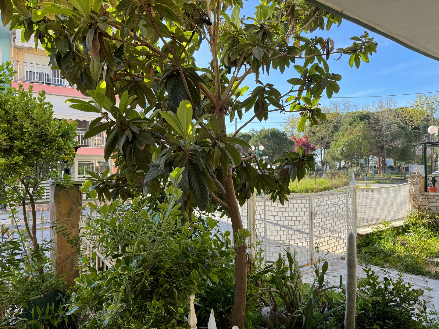 Vila Vaso