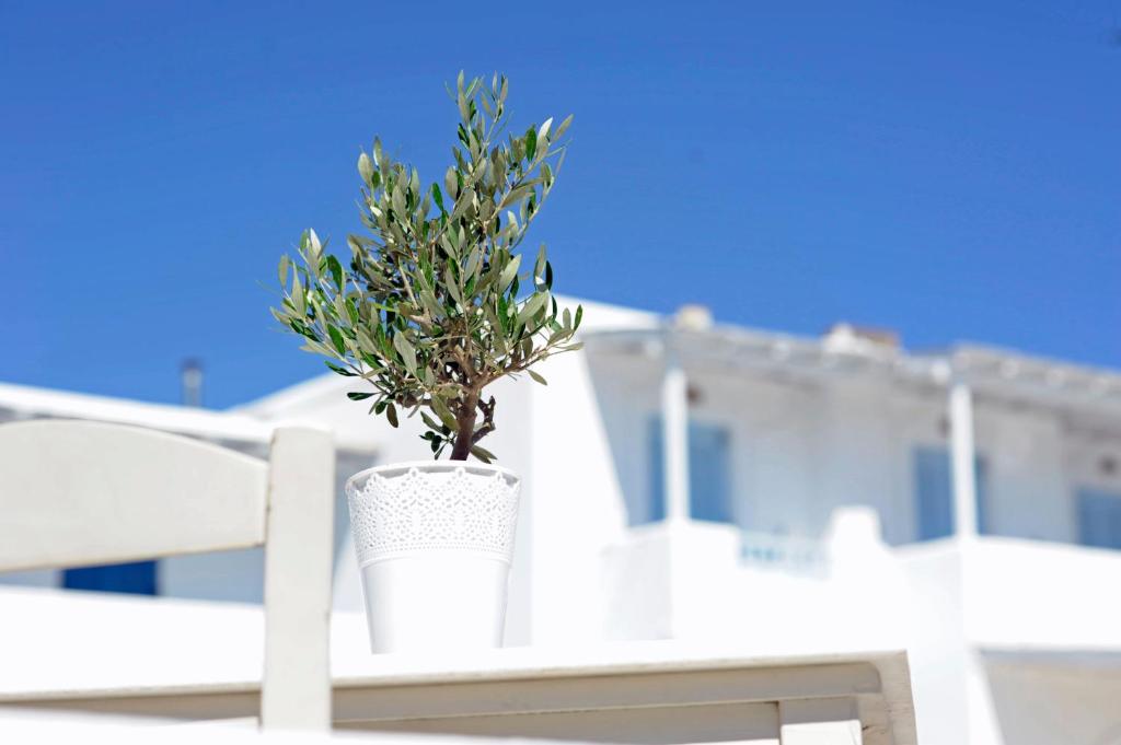 Hotel Galatis