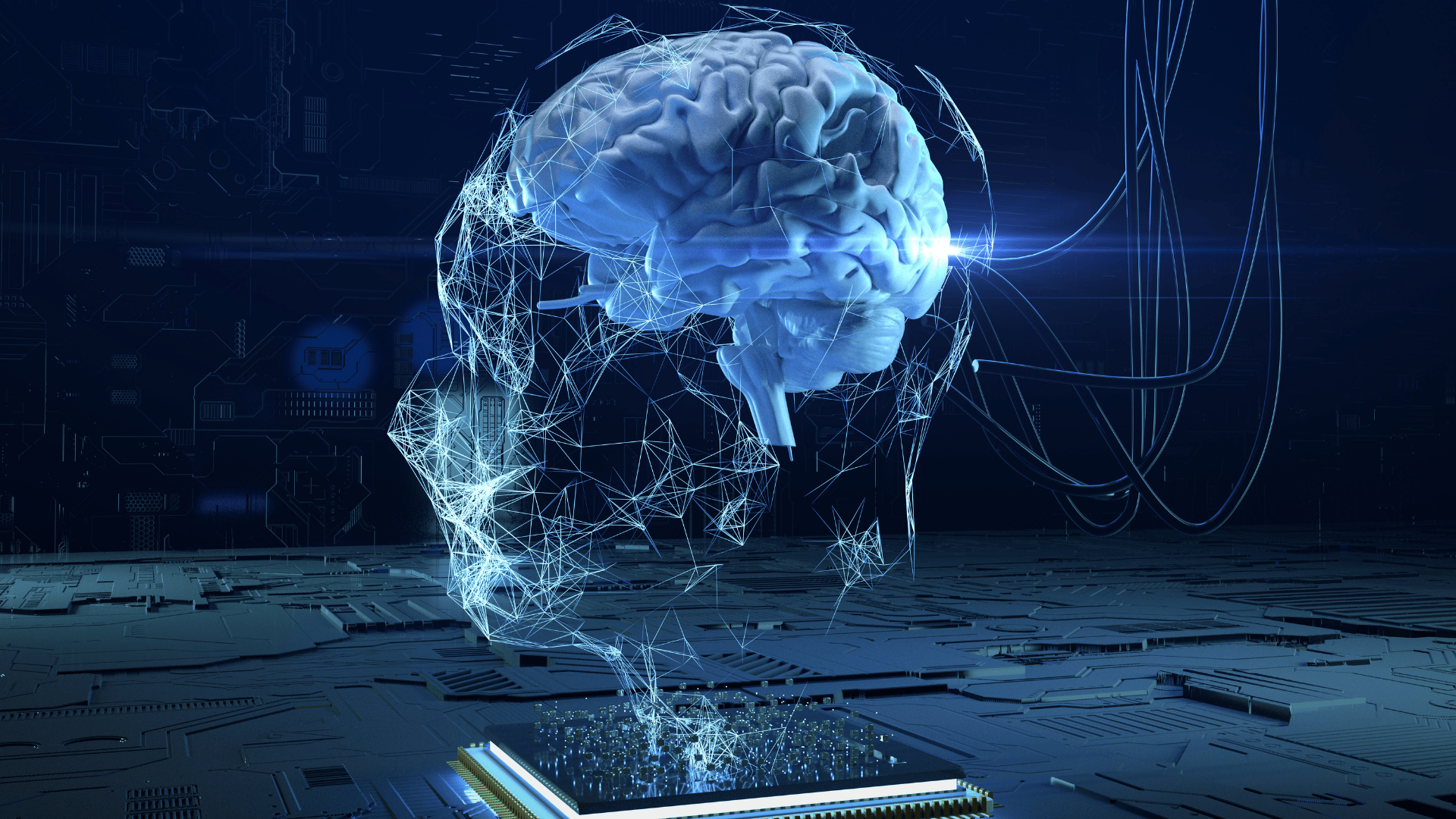 Emotional Intelligence