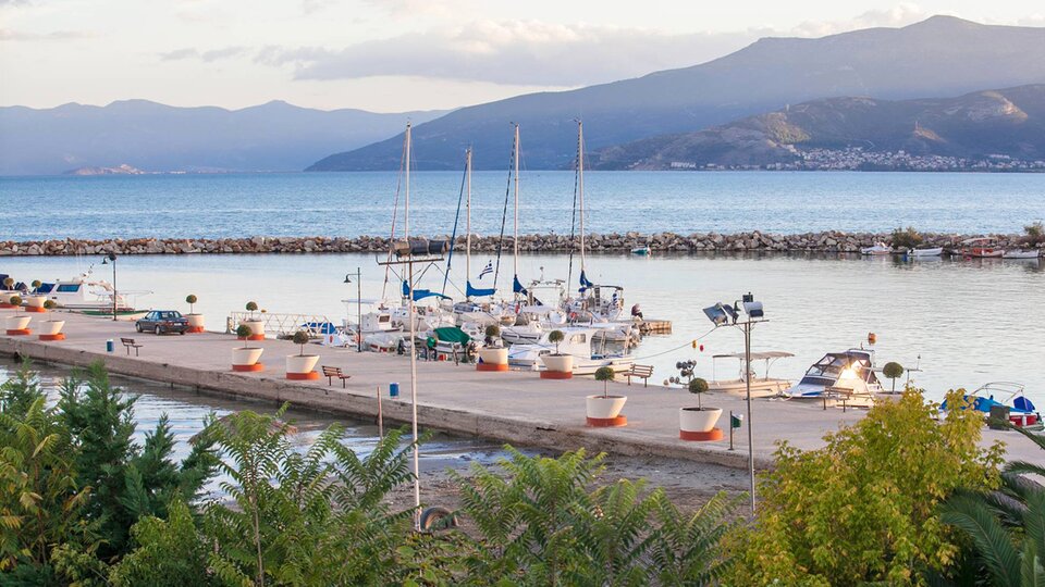 Ignatia 