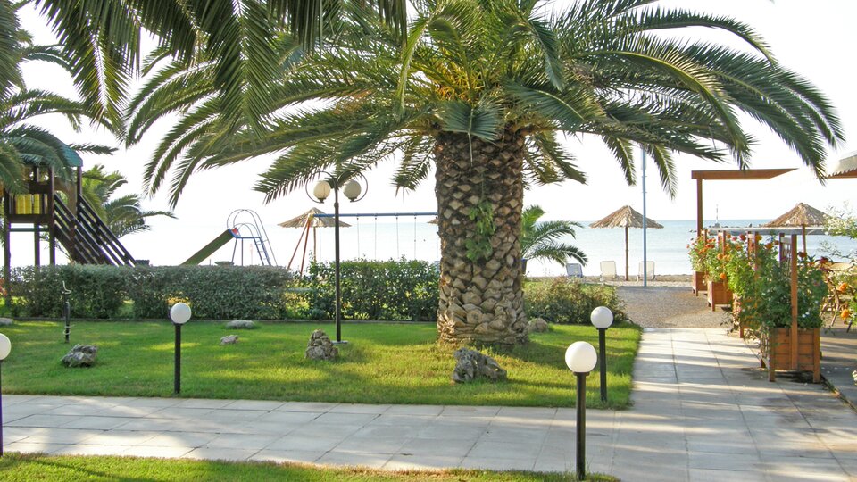 Ignatia 