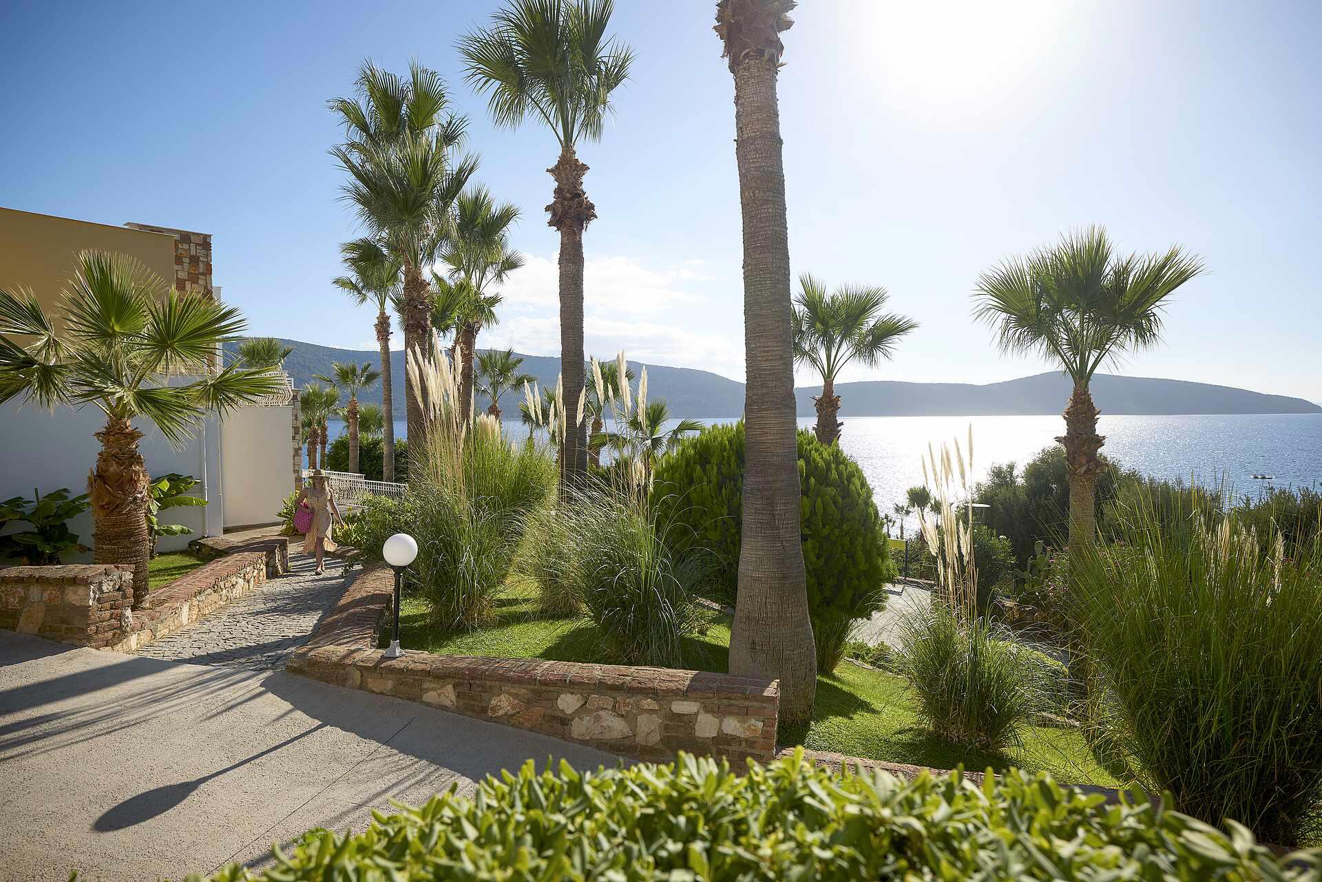Tui Magic Life Bodrum +16
