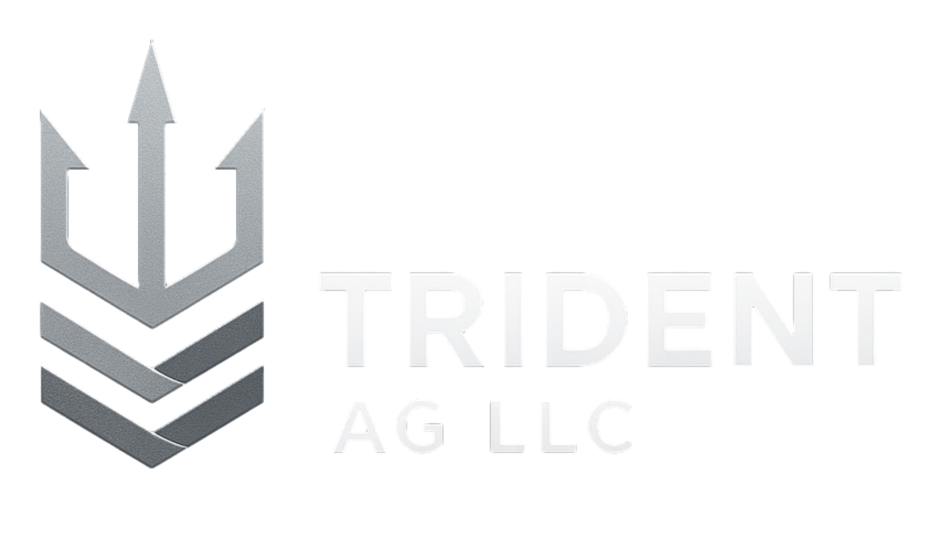Trident AG | Contact Us