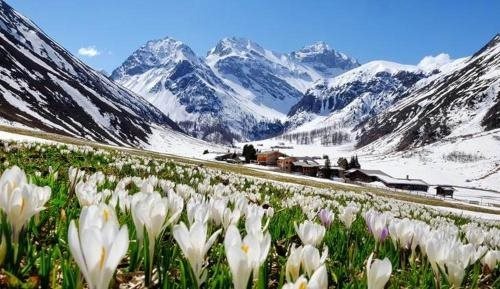 Ameron Davos Swiss Mountain Resort