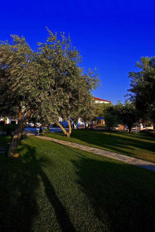 Hotel Flegra Palace