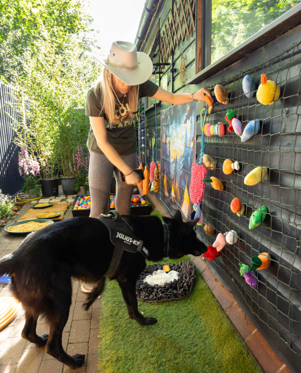A woman in a hat interacts with a wall puzzle filled with colorful toys, while a black dog wearing a harness—perhaps enjoying some enriching time at Royvon dog boarding stands nearby, sniffing the toys. They are outdoors on a patio with plants and sunlight.