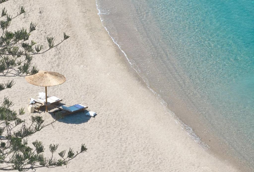 Hotel Elissa Lifesyle Resort