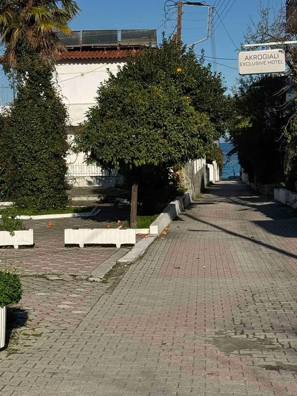 Vila Olga