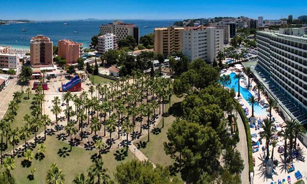 Sol Palmanova