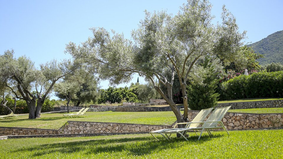 Ionian Blue