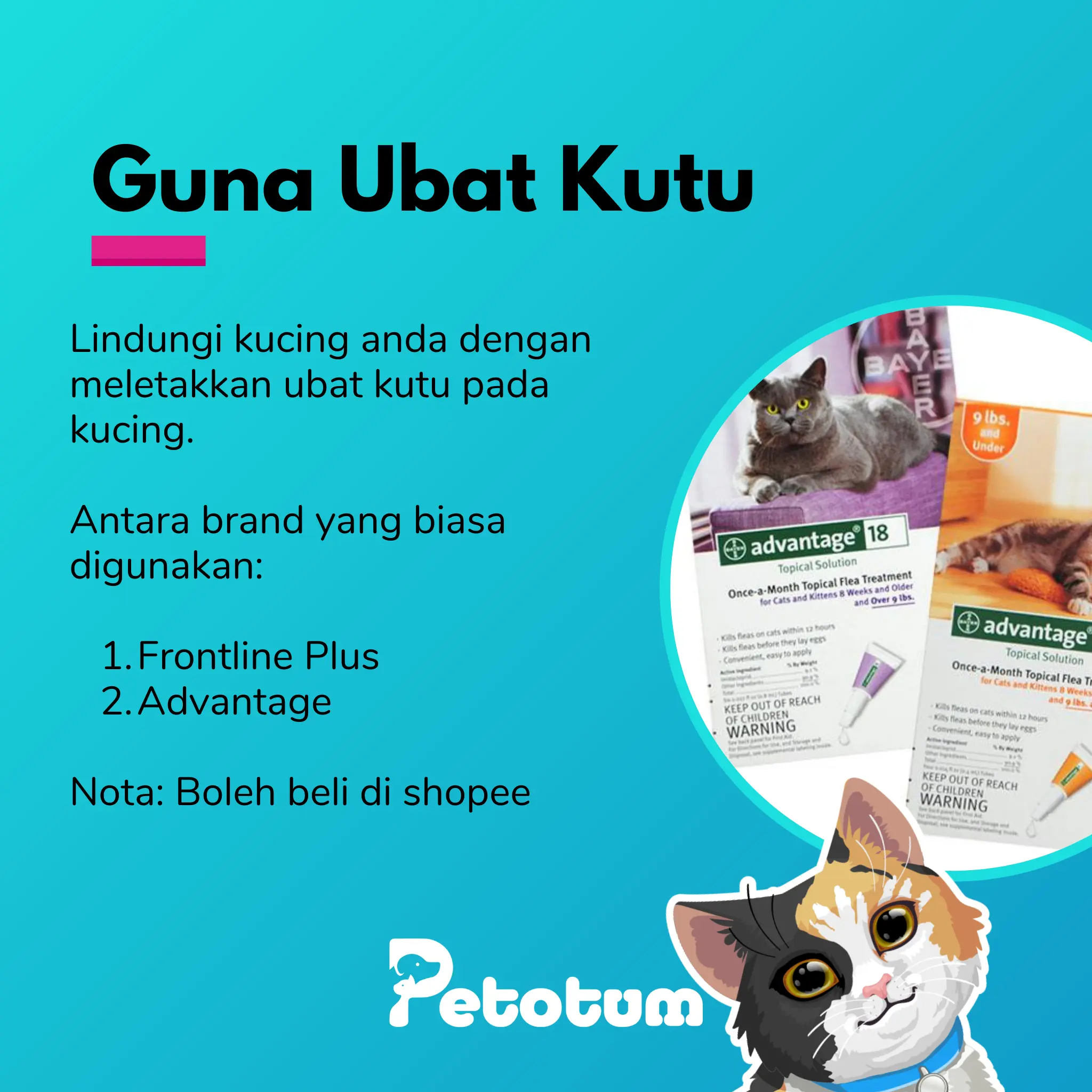 Guna ubat kutu