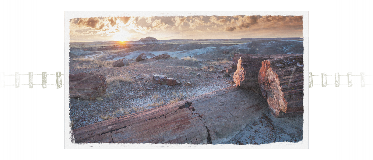 Petrified Forest National Park A Journey Through Time