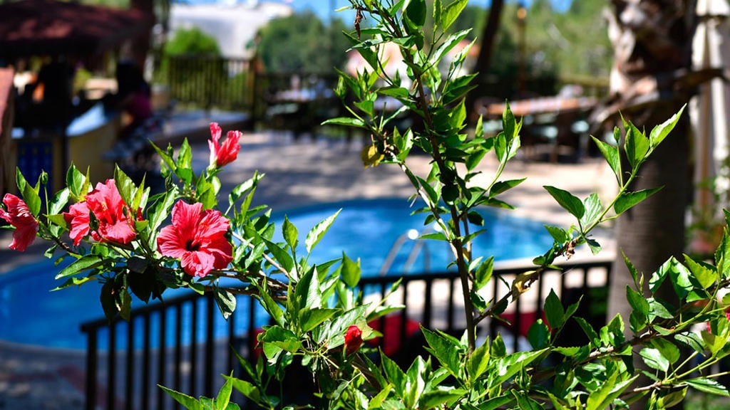 Symbola Oludeniz Beach Hotel