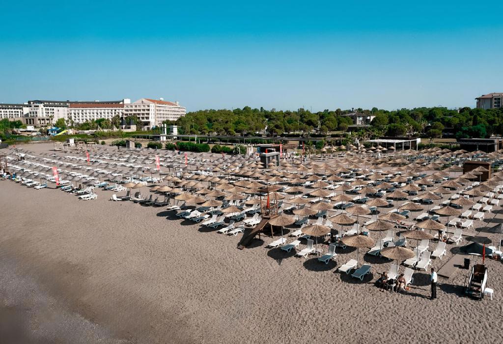 The X Belek