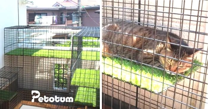 3 Idea Bina Sangkar Kucing DIY