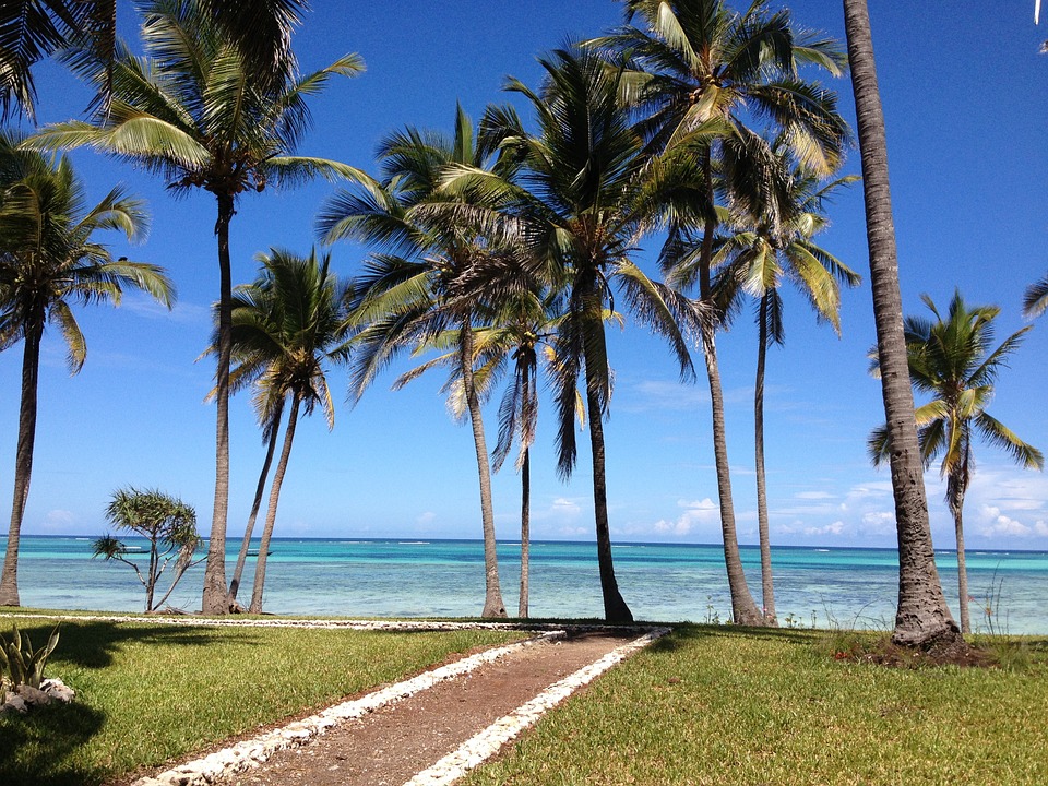 Zanzibar Mix Trip