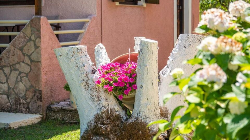 Anneta Studios