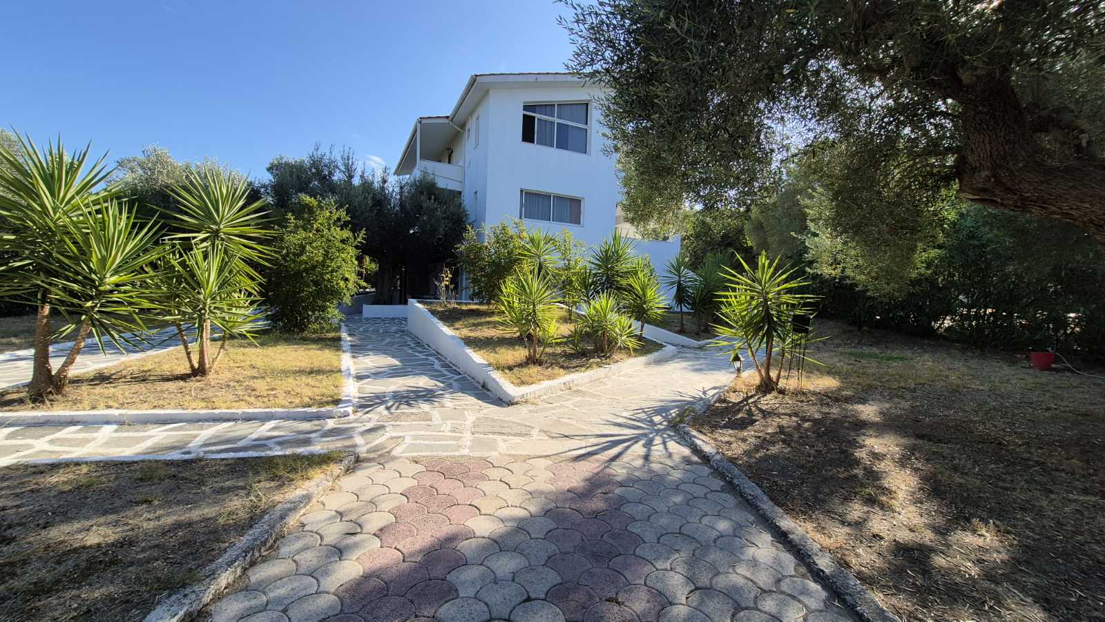 Vila Alexandros Garden