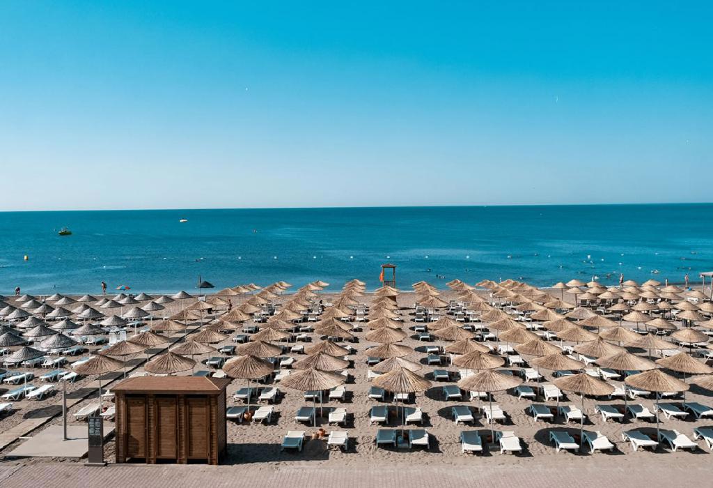 The X Belek
