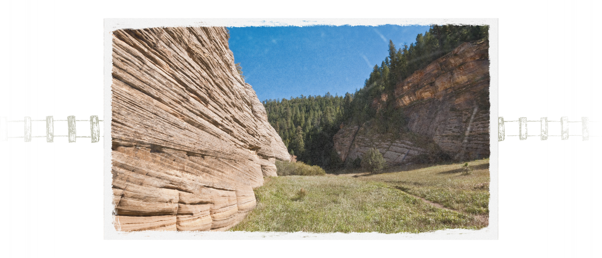 Exploring Walnut Canyon National Monument History and Hiking