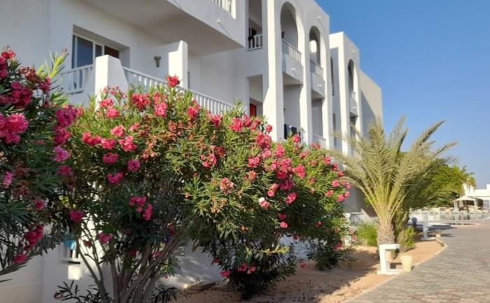 Meninx Resort Spa & Aqua Park