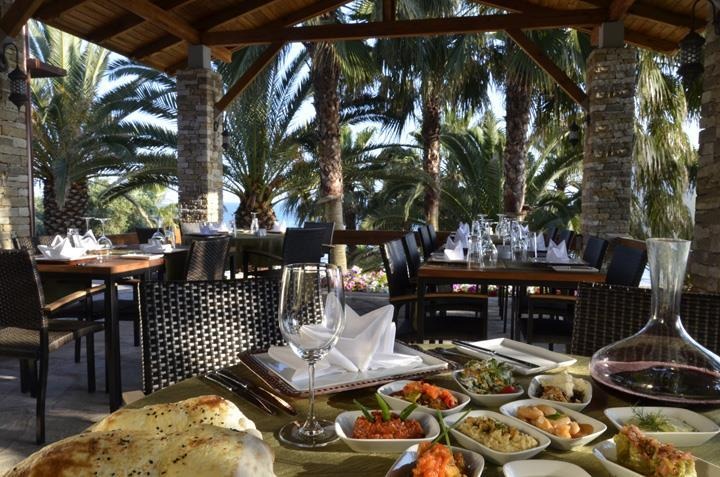Barut Arum Collection