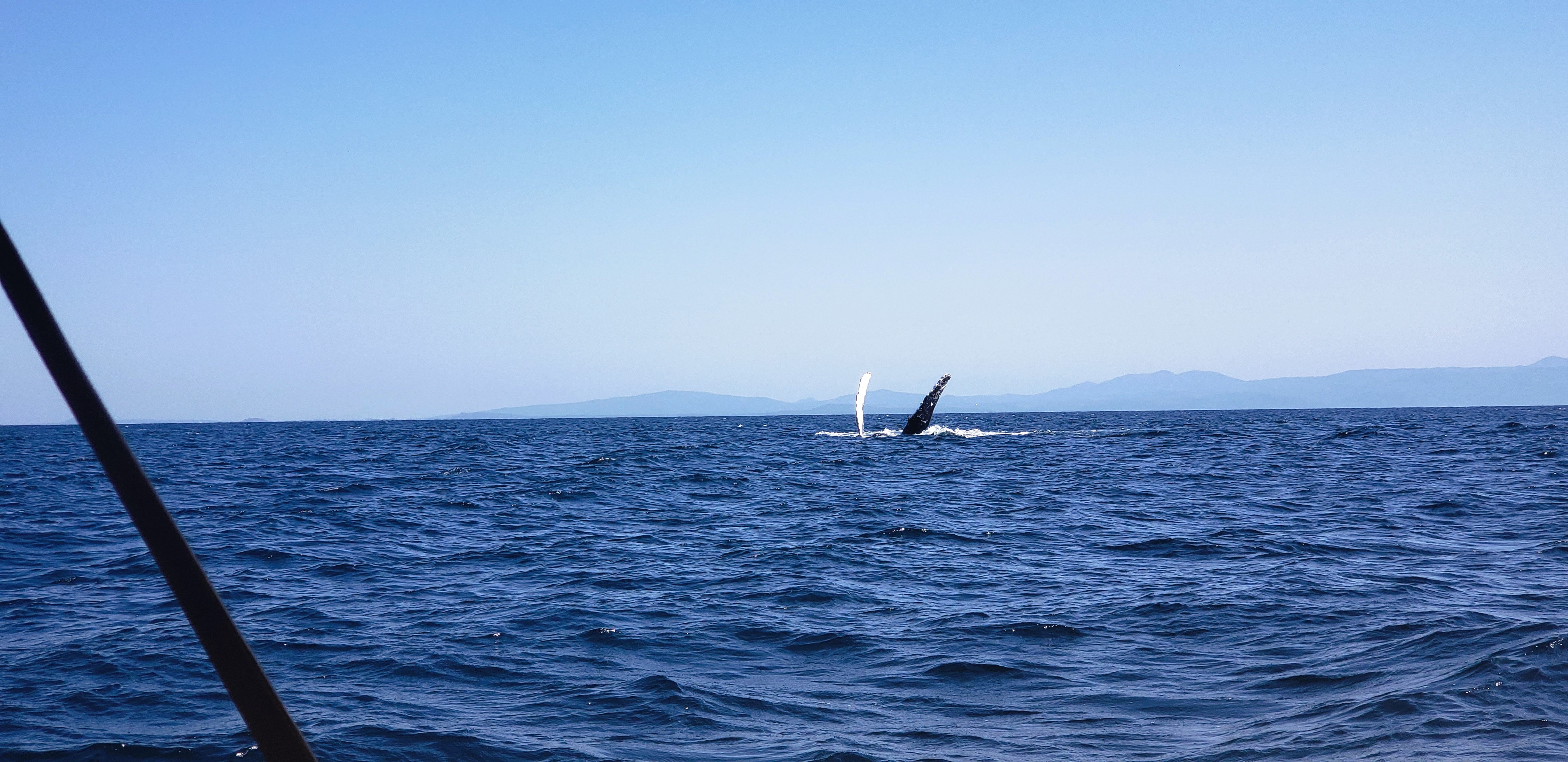 Top Things to Do in San Blas Mexico