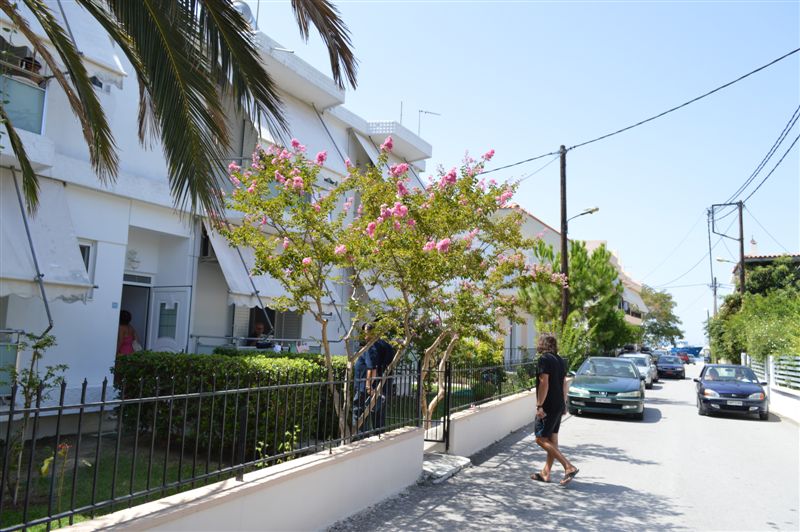 Apartmani Kleopatra 2