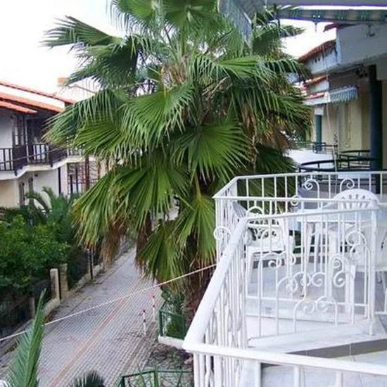 Vila Gatos 2