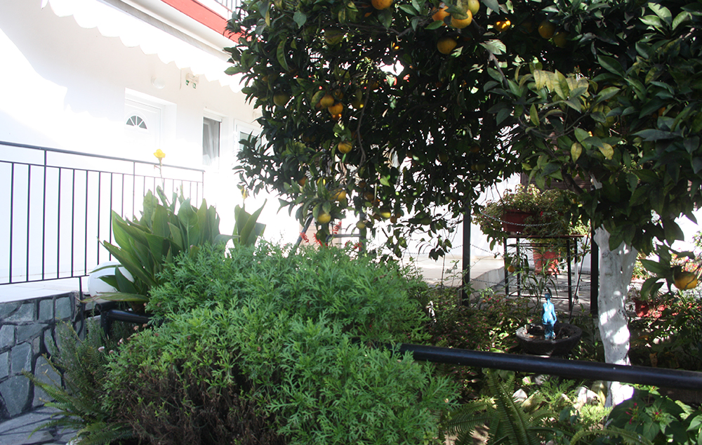 Vila Kostas